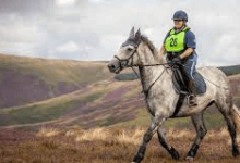 What Are The Main Rules Of Endurance Riding?