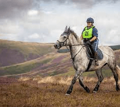 What Are The Main Rules Of Endurance Riding?