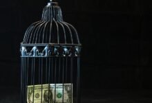 achieving financial freedom tips