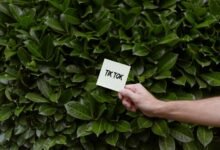 boost social media presence