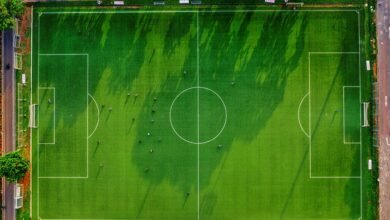 identifiers for activity overview