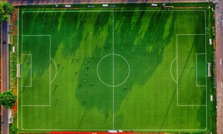 identifiers for activity overview