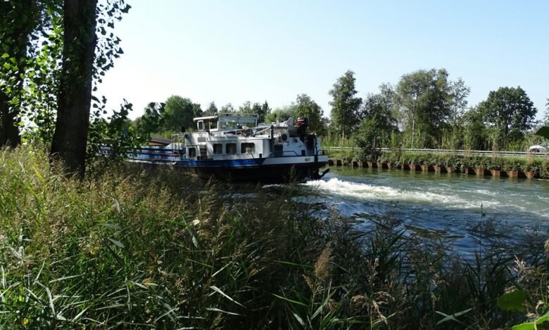 operational flow insights data