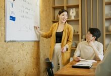 apex circuit leadership flow