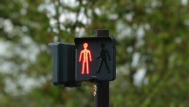 caller background review and safety signals