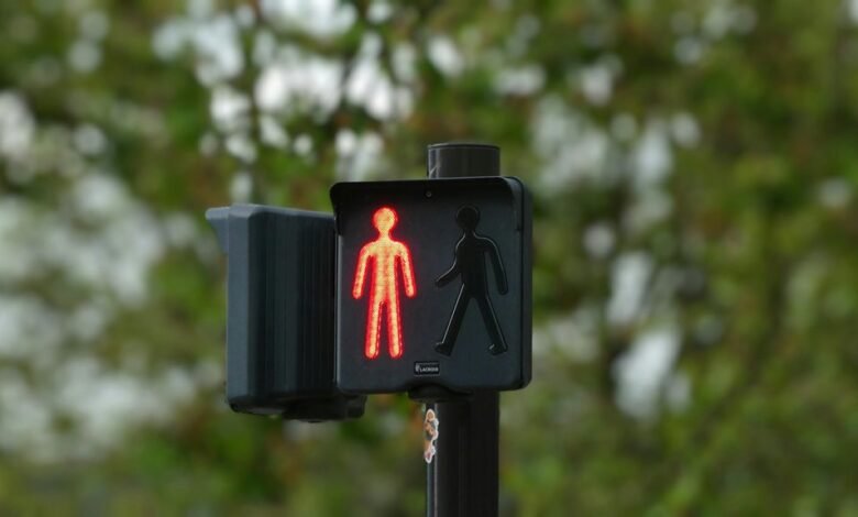 caller background review and safety signals