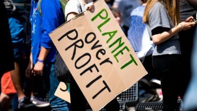 fusion surge 911177224 profit orbit