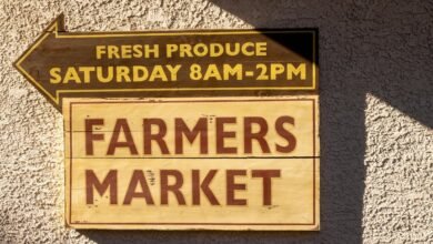 market engine marketing guide context