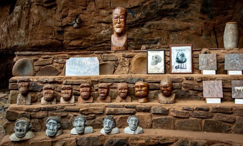 precision growth design tactical evolution