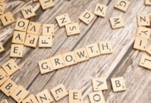 progressive business expansion outlook