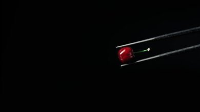 unlock creativity and enrich life