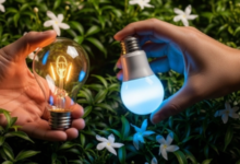 Bright Ideas Start with the Right LED Modules: A Simple Guide for Better Lighting