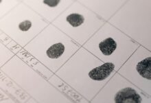 advanced record analysis identifiers and metrics