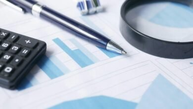 data audit identifiers and terms