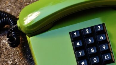 identifier and phone numbers highlighted