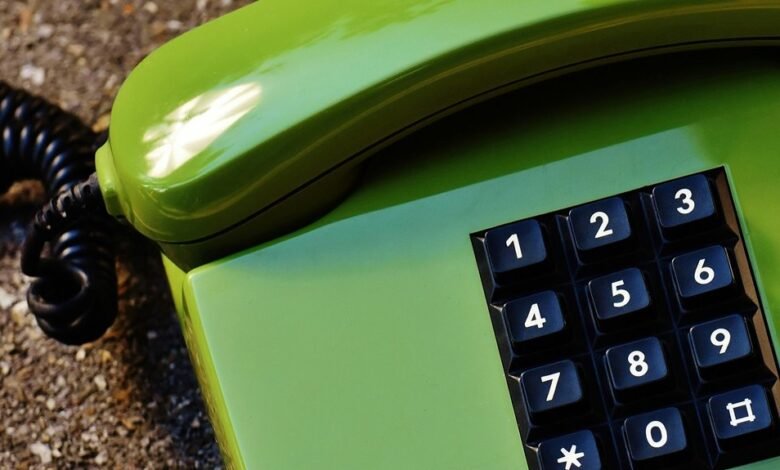 identifier and phone numbers highlighted