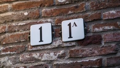 network record check includes numbers and usernames