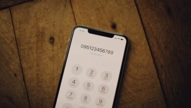 system entry identifiers and garbled text digits