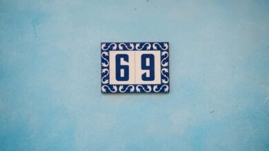 technical entry identifiers and ip address