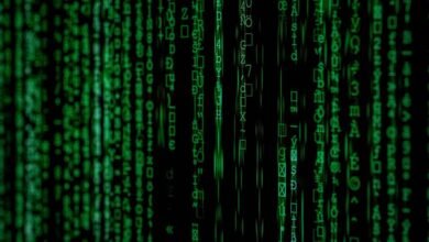 technical entry names and numbers