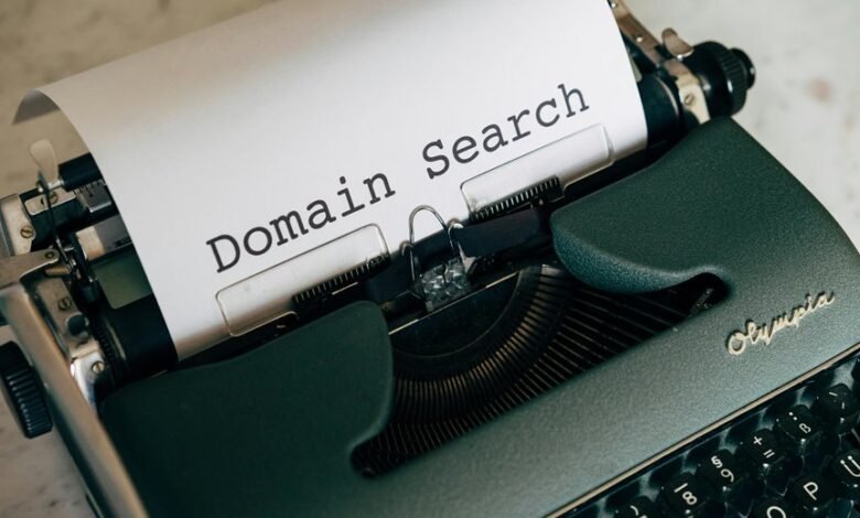 web and domain analysis identifiers and contact details