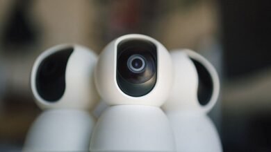 ip ownership and security details