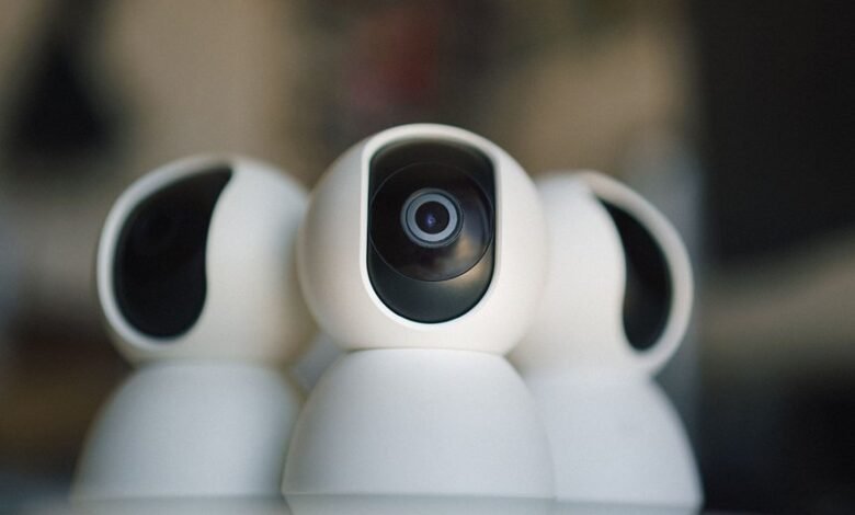ip ownership and security details